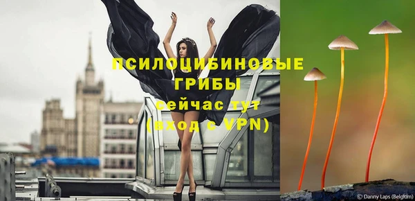 винт Алексеевка