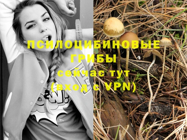 МДПВ Алексин