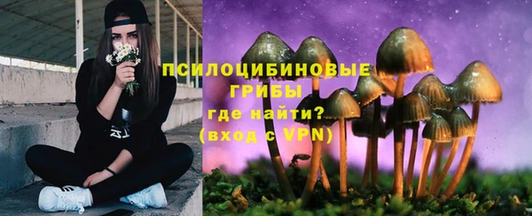 герыч Алзамай