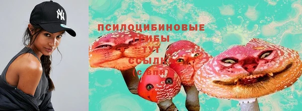 герыч Алзамай