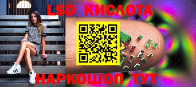 гидра Новодвинск