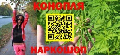 дживик Новозыбков