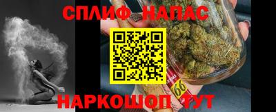 дживик Новозыбков