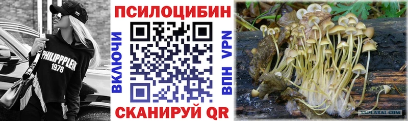 Псилоцибиновые грибы MAGIC MUSHROOMS  Саянск 