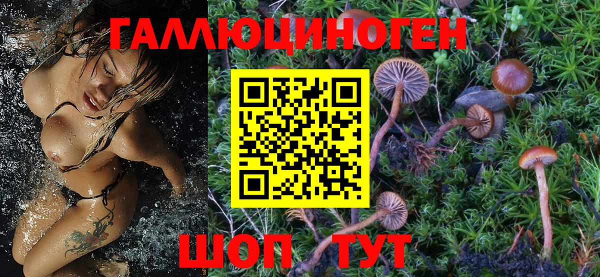 Галлюциногенные грибы MAGIC MUSHROOMS Саянск